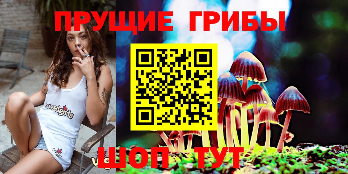 Галлюциногенные грибы прущие грибы Бийск