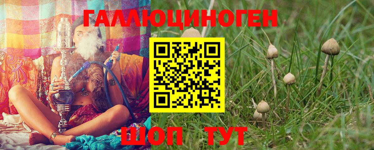 Псилоцибиновые грибы MAGIC MUSHROOMS  Вход с VPN  Бийск 